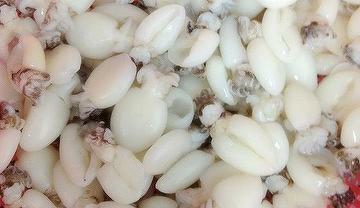 SEPPIE PUL.INDIA.61 UP IQF 800gr.