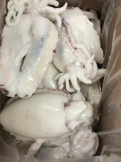 SEPPIE SEN.200/400gr IQF PULITA CIUF.SPORC.P.NETTO K12