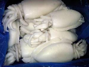 SEPPIE INDIA PUL.U1 KM IQF C.30% k10