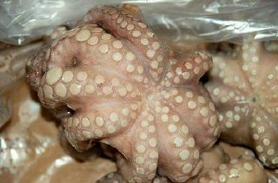 POLPO MAROCCO T6 IQF SALGADO P.NETTO C.
