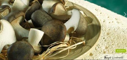 FUNGHI CARDONCELLI SPIRITO CONT.SURG.KG 2X5
