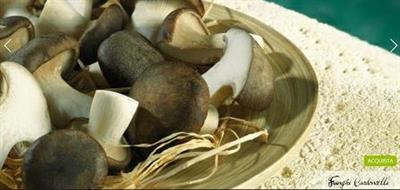 FUNGHI CARDONCELLI SPIRITO CONT.SURG.KG 2X5