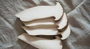 PORCINI FETTE URBANI EXTRA KG.1 C.