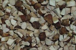 PORCINI CUBO A EXTRA DI BIASE 1KG X 6  C.