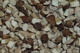 PORCINI CUBO A EXTRA DI BIASE 1KG X 6  C.