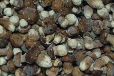 PORCINI INTERI DI BIASE EXTRA C.MIGNON SENZA SPORA