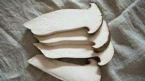 PORCINI FETTE DI BIASE GR1000 CONG.