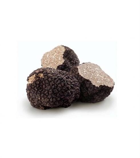TARTUFO NERO CONG.ASIAGO 100GR INTERO ESTIVO