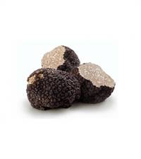 TARTUFO NERO CONG.ASIAGO 100GR INTERO ESTIVO