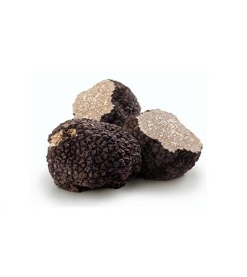 TARTUFO NERO CONG.ASIAGO 100GR INTERO ESTIVO