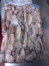 TOTANO S (18-23CM)ARGENTINA 200/300 kG10 CONG.