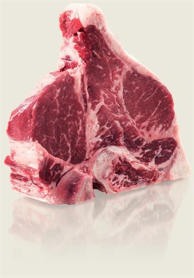 CARRE'T-BONE HEREFORD 3ST 16+ MCK