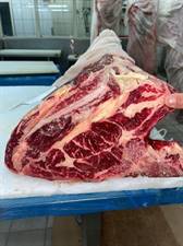 CARRE'PRUSSIAN B.ANGUS GOLD 25+ (JN)