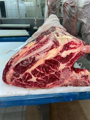 CARRE'PRUSSIAN B.ANGUS GOLD 25+ (JN)
