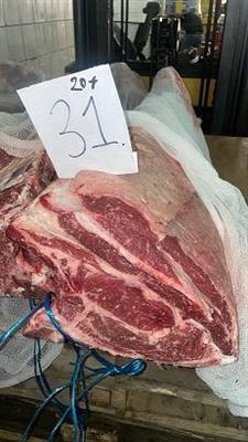 CARRE'SCOTTONA POLACCA 20+ (MCKEEN)