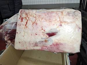 CARRE'VITELLONE YB POLACCO 30+ (MCKEEN)