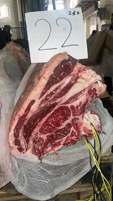 CARRE'SCOTTONA POLACCA MAREZZ. 23+ (MCKEEN)