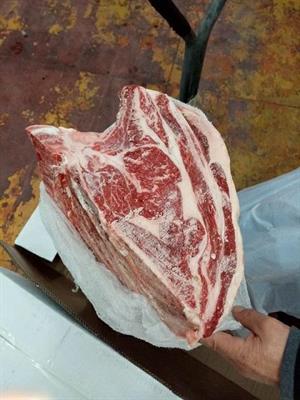 CARRE'SCOTTONA CELTIC LEGEND HEREFORD 27+ (TMC)