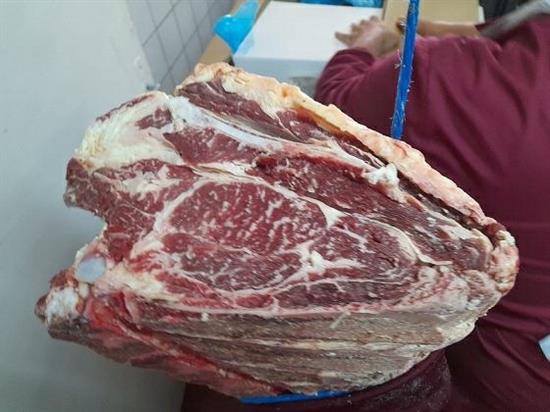 CARRE'SASHI SIMMENTHAL MOUNTAIN BEEF 27+ (JN)