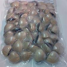 VONGOLE BROWN DEL PACIFICO 40/60 SV kg1 C/GUSCIO C.scottata