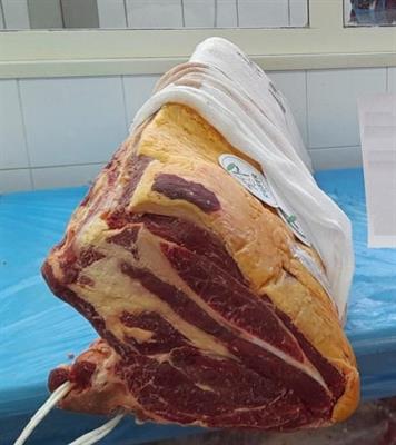 CARRE'SCOTTONA IRLANDA L/PARANZA CONG.