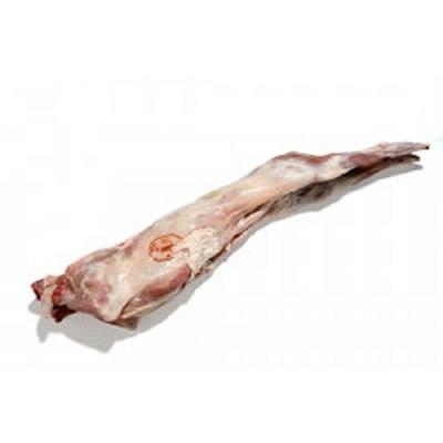 AGNELLO S/TESTA PORZ.TO CONG.