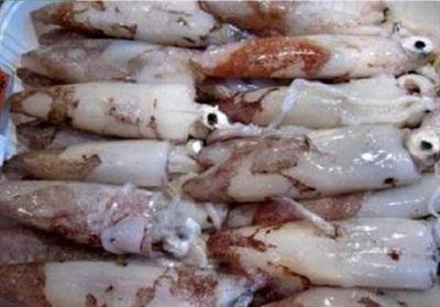 CALAMARO FRANCIA 500+ BL.C. P.NETTO 5KG ORO 848