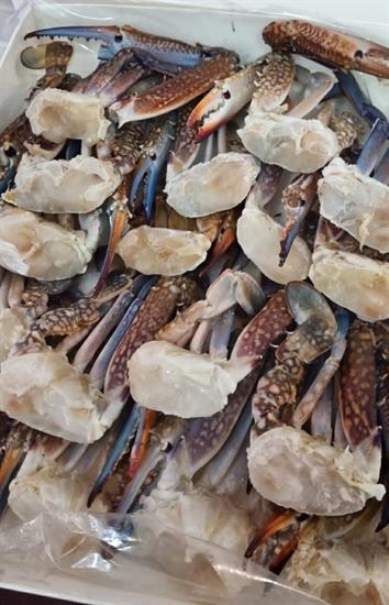 CHELE E CORPO GRANCHIO 16/20  C. CRT.KG.10