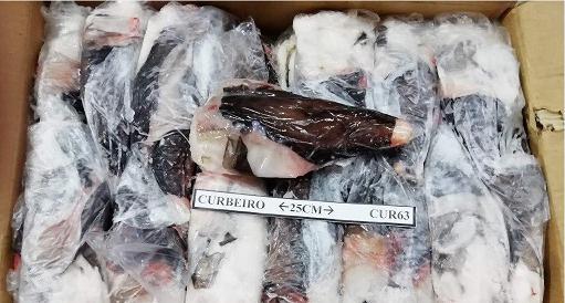 CODE ROSPO 500/1000 C/P UK C.BORDO C.