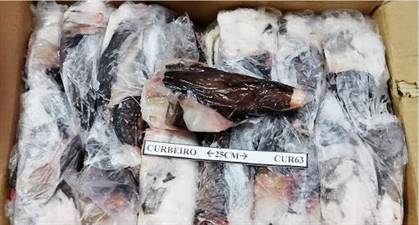 CODE ROSPO 500/1000 C/P UK C.BORDO C.