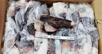 CODE ROSPO 500/1000 C/P UK C.BORDO C.