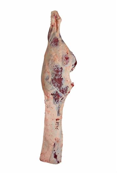 PISTOLA BABY BEEF FEMMINA