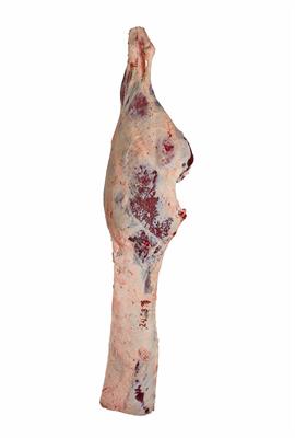 PISTOLA BABY BEEF FEMMINA