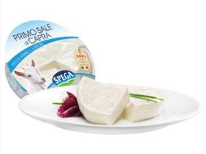 FORMAGGIO PRIMO SALE CAPRA CASEIFICIO AURORA