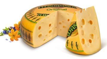 LEERDAMMER FORMA BEL ITALIA