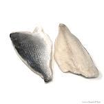 FIL.ORATA USF 80/120GR PESO NETTO C.
