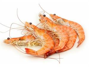 GAMBERI ARGENTINA L2 PROFAND C/BORDO C.KG12