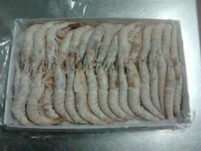GAMBERI TUNISIA BORDO M4 40/60 12X1KG NETTO