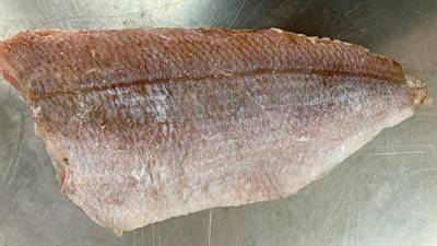 FIL.PAGRO 120/140 GR IQF