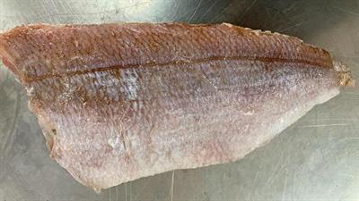 FIL.PAGRO 120/140 GR IQF