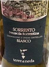 VINO PEN.SORRENTINA BIANCO DOC 2022 cl75 TERRE DI NEDA