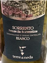 VINO PEN.SORRENTINA BIANCO DOC 2022 cl75 TERRE DI NEDA