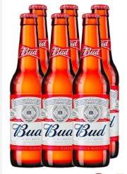 BIRRA BUD 33CLX24 VAP