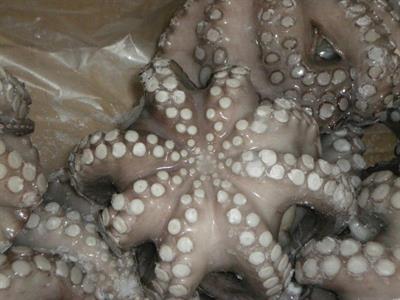 POLPO MAROCCO T5 IQF (MA) P.NETTO C.