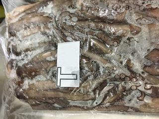 POLPO MAROCCO T4 (MA*) BLOCCO TAKO BLAQ .C. 2*7KG