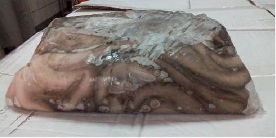 POLPO MAROCCO T6 (S) BLOCCO 5KG BORDO C.