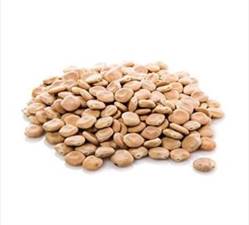 LUPINI SECCHI KG 5 ALIMENTS