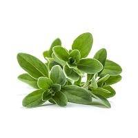 BARCHETTA LEGNO cm.6,5x4,5 cf100pz