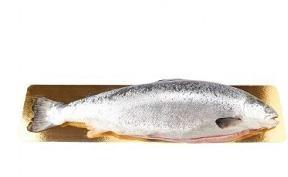 SALMONE INT.EVISC. 5/6 CONG