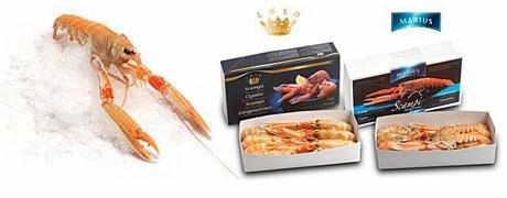 SCAMPI 13/16 MARIUS DK. 700GR C. nephrops norvegicus